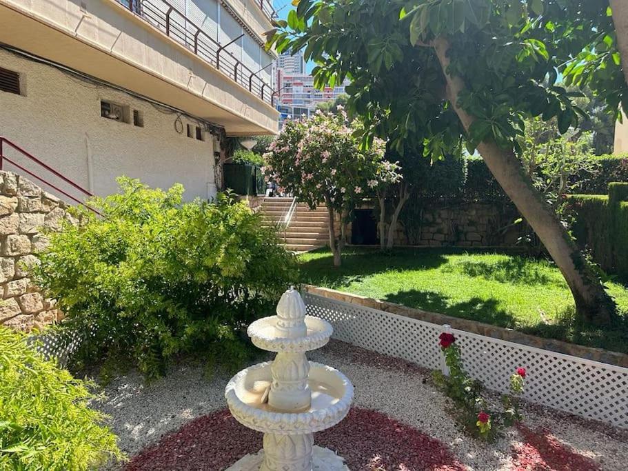 Sea View Apartments, Μπένιντορμ Εξωτερικό φωτογραφία